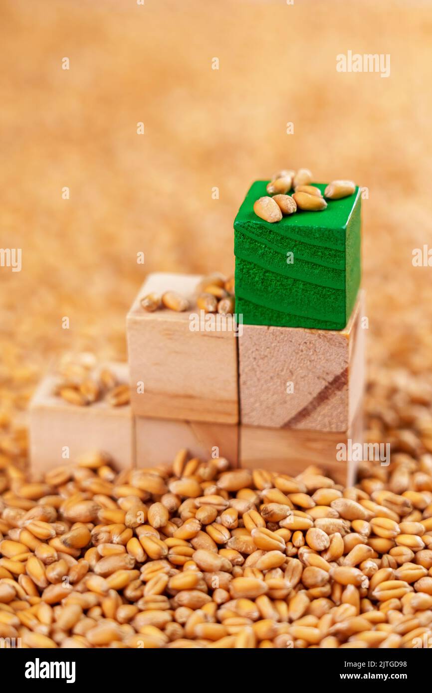 Vollkornkornweizenkerne auf einer Pyramide aus Holzwürfeln. Konzept für das Wachstum von Investitionen in Landwirtschaft und grüne Wirtschaft. Idee der globalen Nahrungsmittelkrise Stockfoto