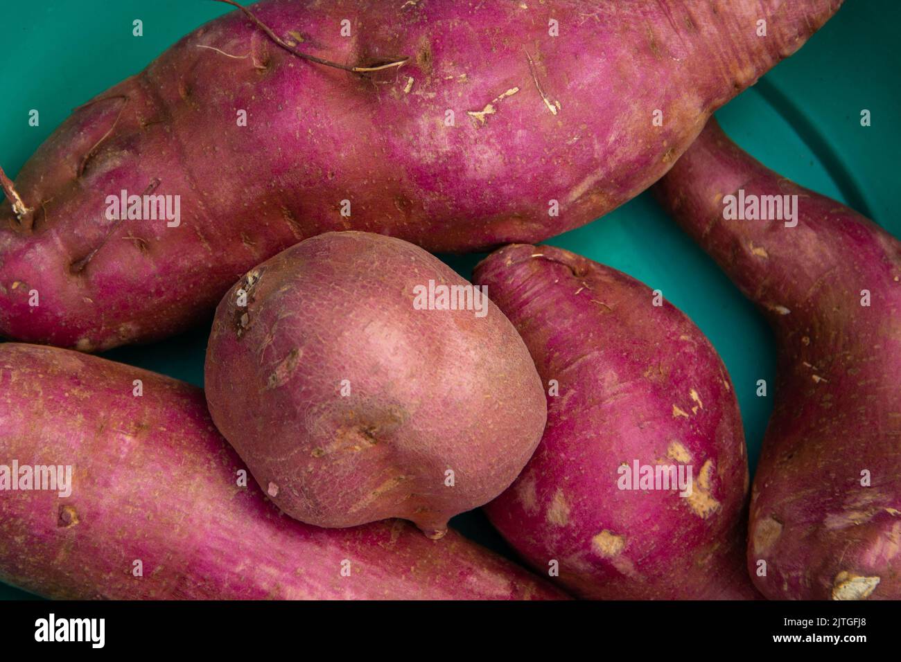 Goiânia, Goias, Brasilien – 30. August 2022: Einige Süßkartoffeln in einer grünen Schüssel. Stockfoto