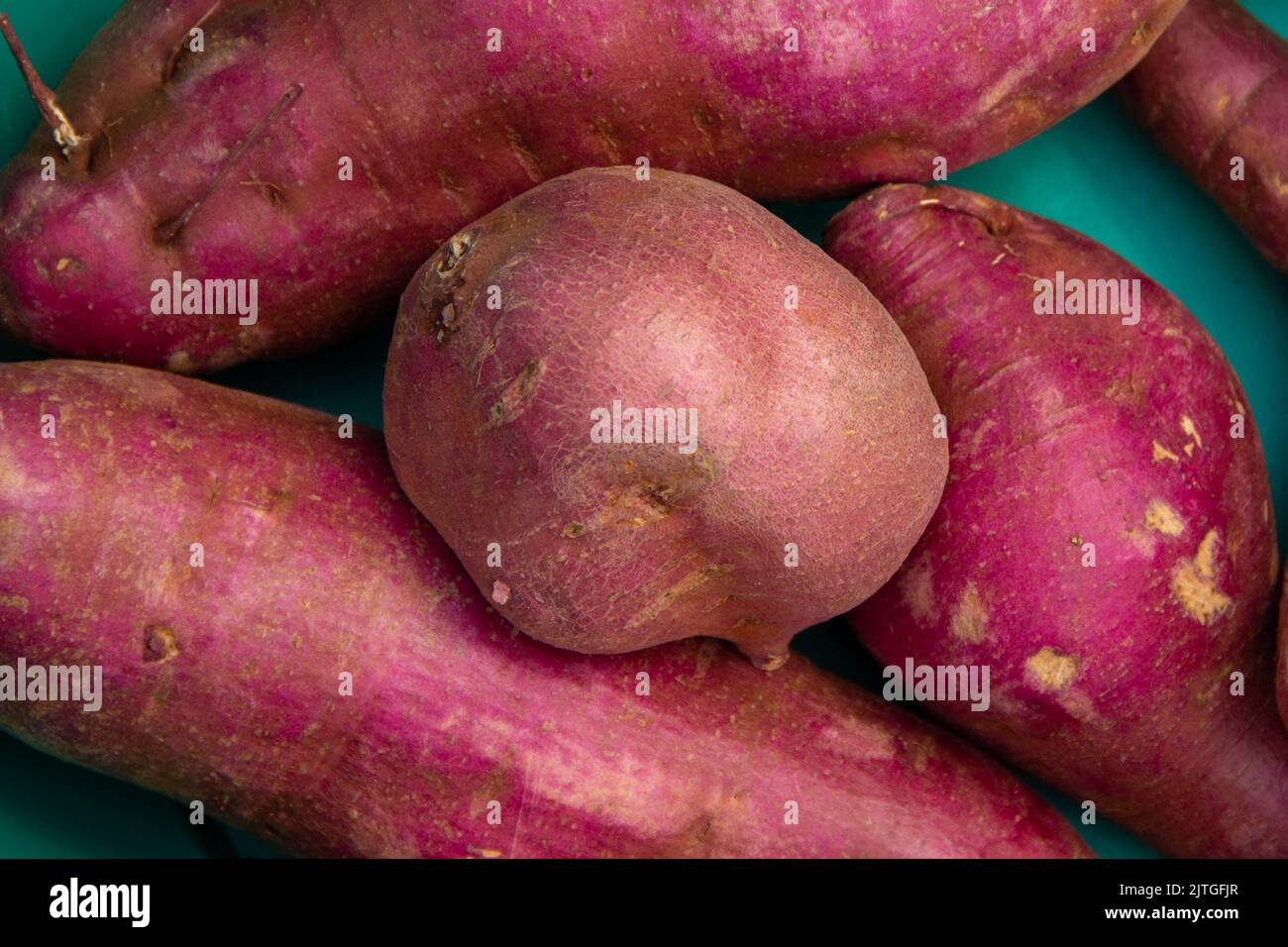 Goiânia, Goias, Brasilien – 30. August 2022: Einige Süßkartoffeln in einer grünen Schüssel. Stockfoto