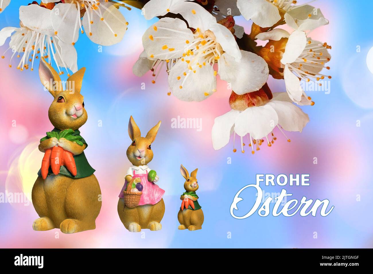 Familie der Osterhasen mit Ostereiern und Karotten vor blühendem Kirschzweig, komponieren Stockfoto