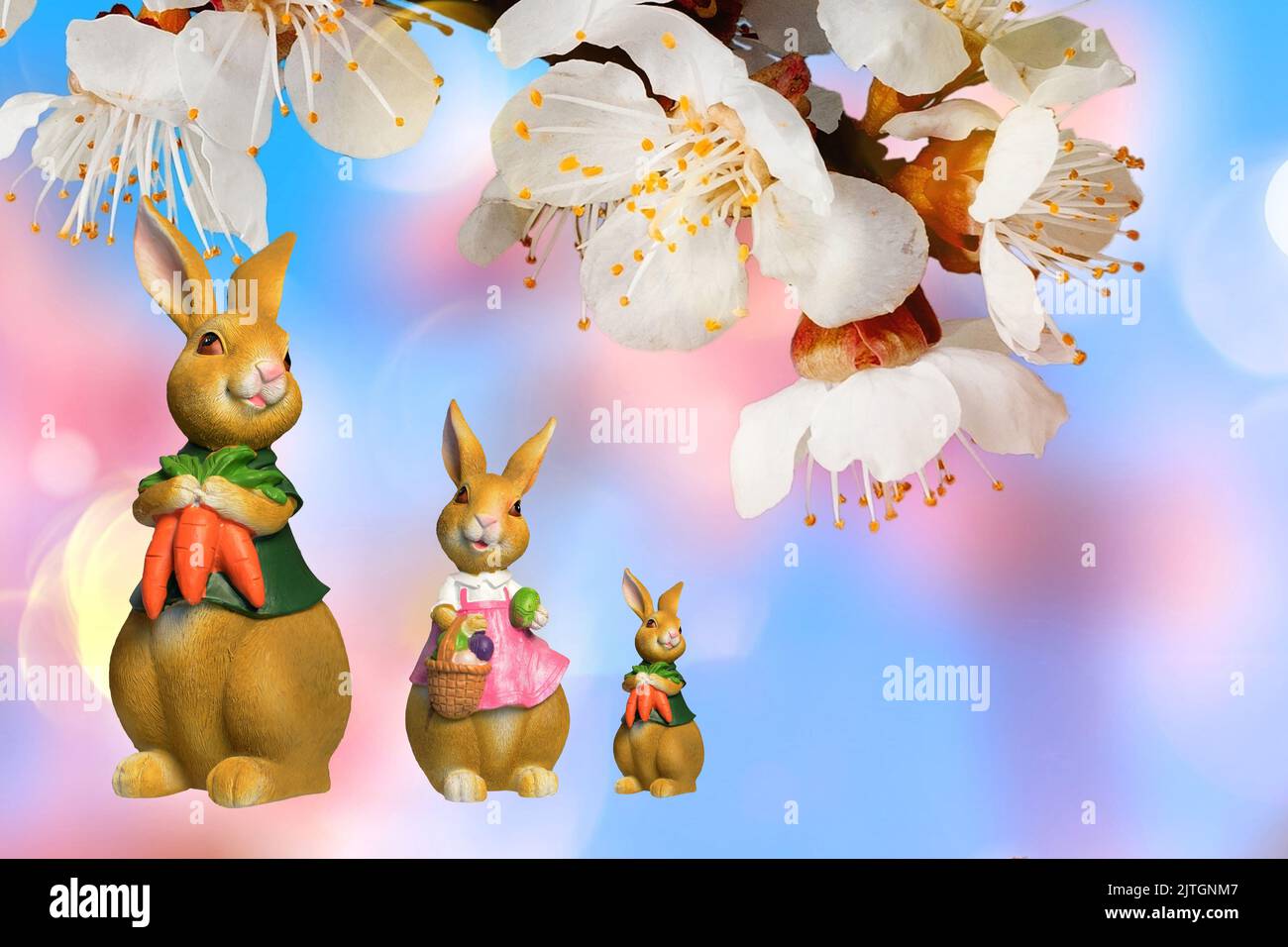 Familie der Osterhasen mit Ostereiern und Karotten vor blühendem Kirschzweig, komponieren Stockfoto