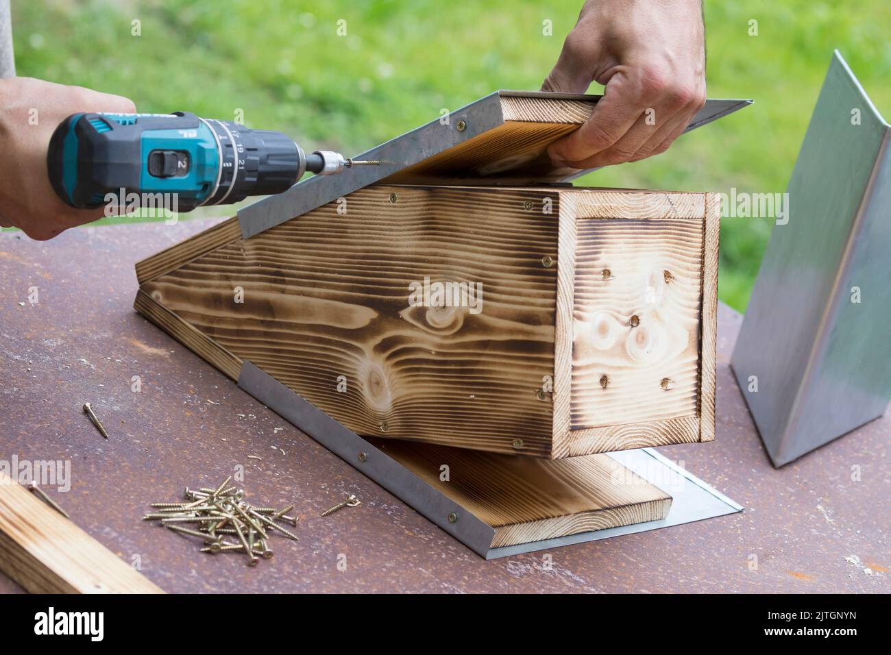 Nest-Box-Serie, Schritt 11/13: Eine an der Vorderseite vorstehende Platte aus Zinkblech schützt die Nest-Box und das Eingangsloch vor den Auswirkungen des Stockfoto