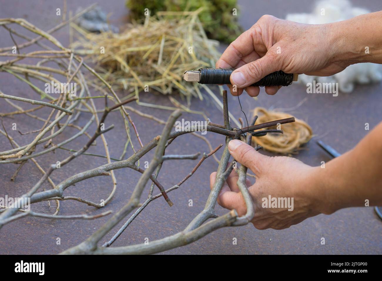 Nistmaterial für Vögel im Garten. Schritt 2/4: Biegen Sie die Zweige Ihres Zweiges nach oben und befestigen Sie sie mit Floristen Draht. Stockfoto