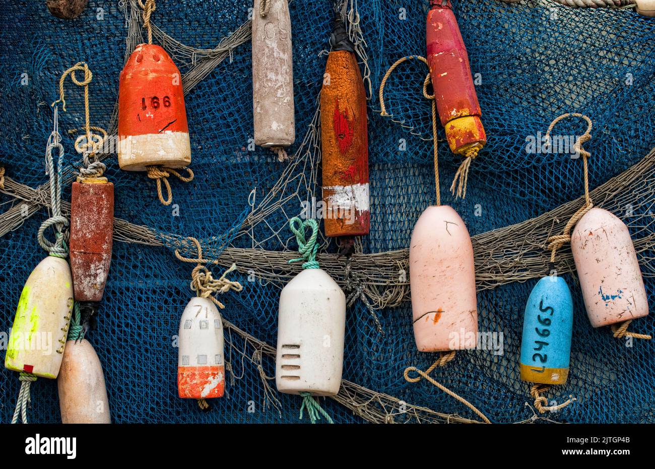 Alte Bojen hängen an einem Fischernetz im Hafen, USA, Oregon Stockfoto