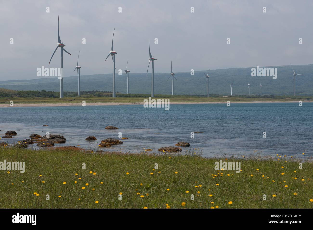 Windturbinen-Energiepark am Meer Stockfoto