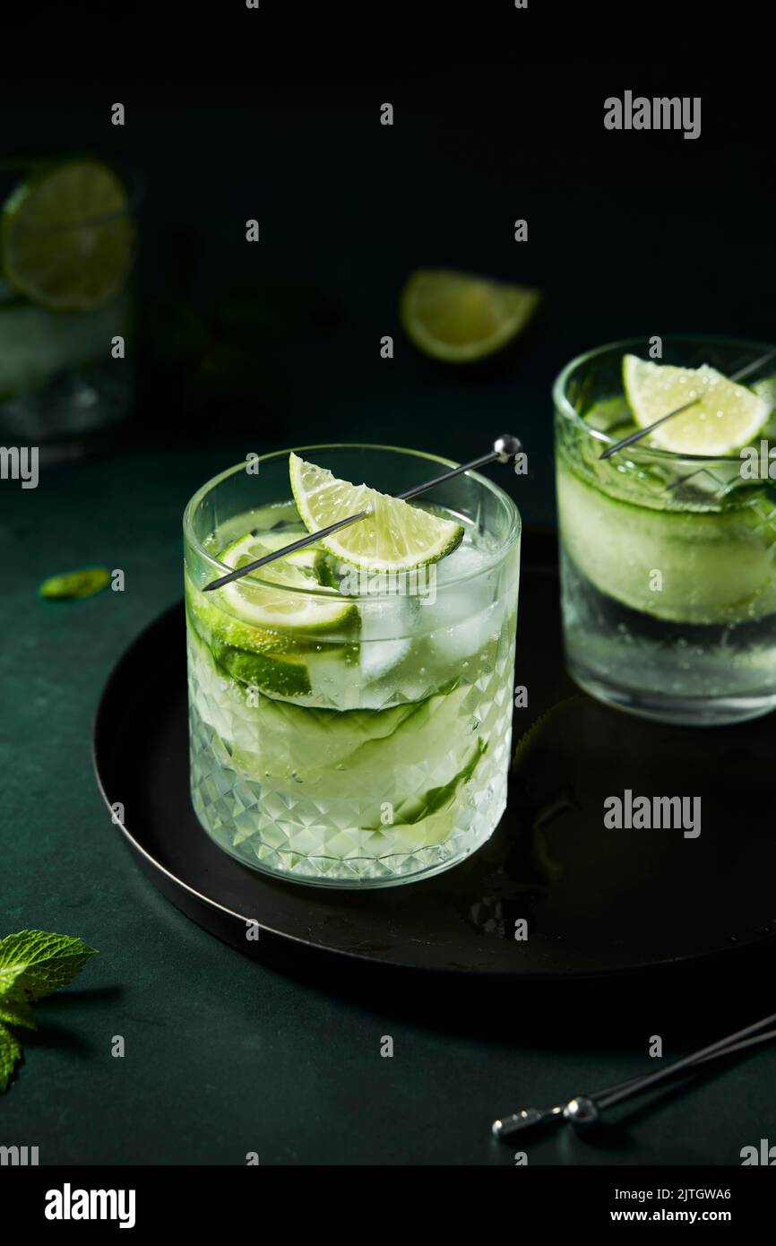 Tablett mit gin tonic -Fotos und -Bildmaterial in hoher Auflösung – Alamy