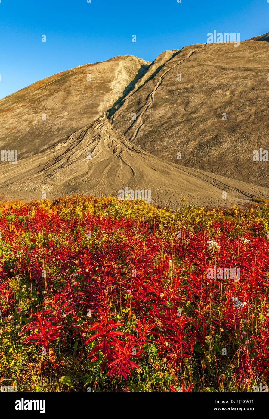 Die großen Abraumhalden stammen aus der verlassenen Asbestmine in Cassiar, British Columbia Stockfoto