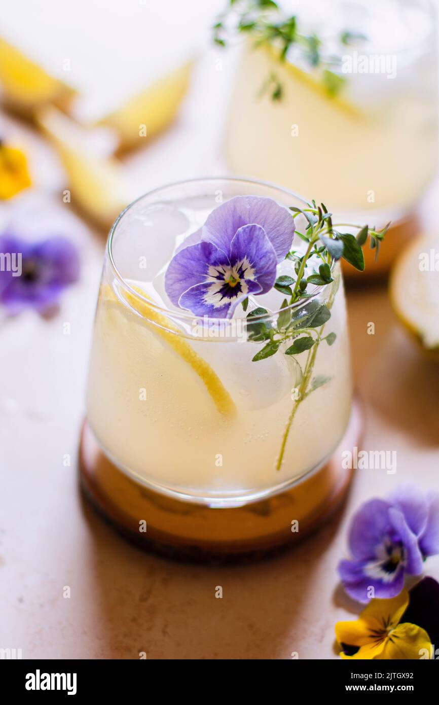 Violette Limonade mit Thymianzweig Stockfoto