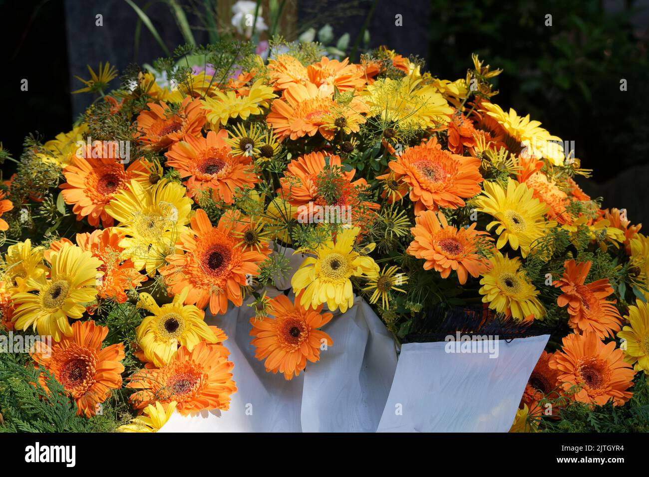 Calendula officinalis gelbe und orangefarbene Ringelblumen als Grabschmuck nach einer Beerdigung Stockfoto
