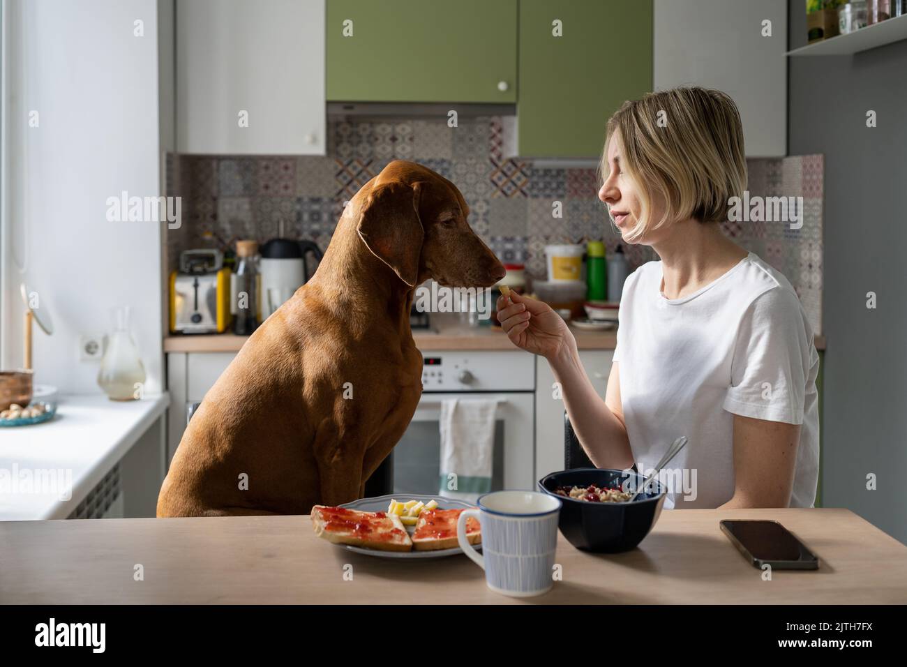 Depressive reife Frau füttert Lieblings Vizsla Hund sitzt zusammen in der Küche Nahaufnahme Stockfoto