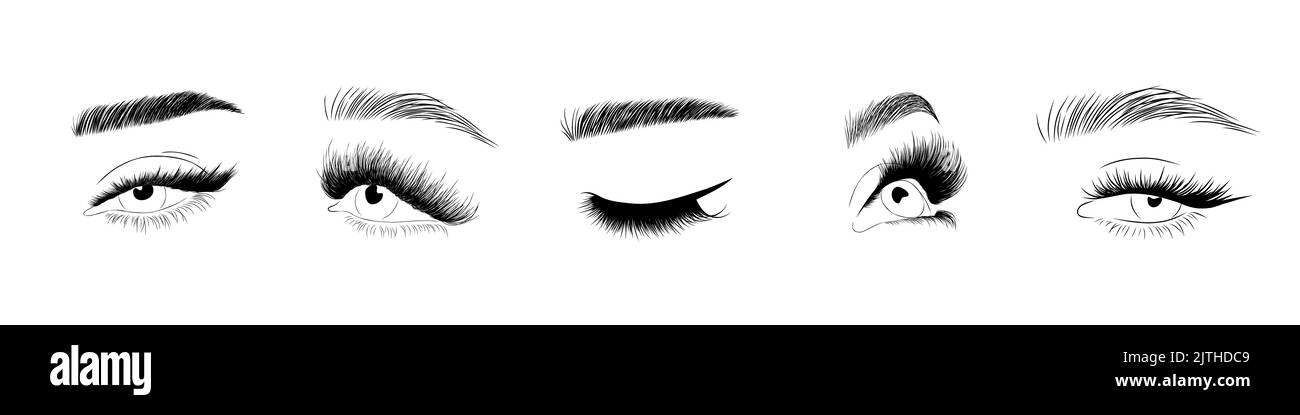 Set von realistischen Frauen Augen. Weibliche Wimpern und Augenbrauen. Laminierung und Verlängerung Wimpern. Logo von Beauty Studio. Linearer Vektor Illustration in trendy Stock Vektor