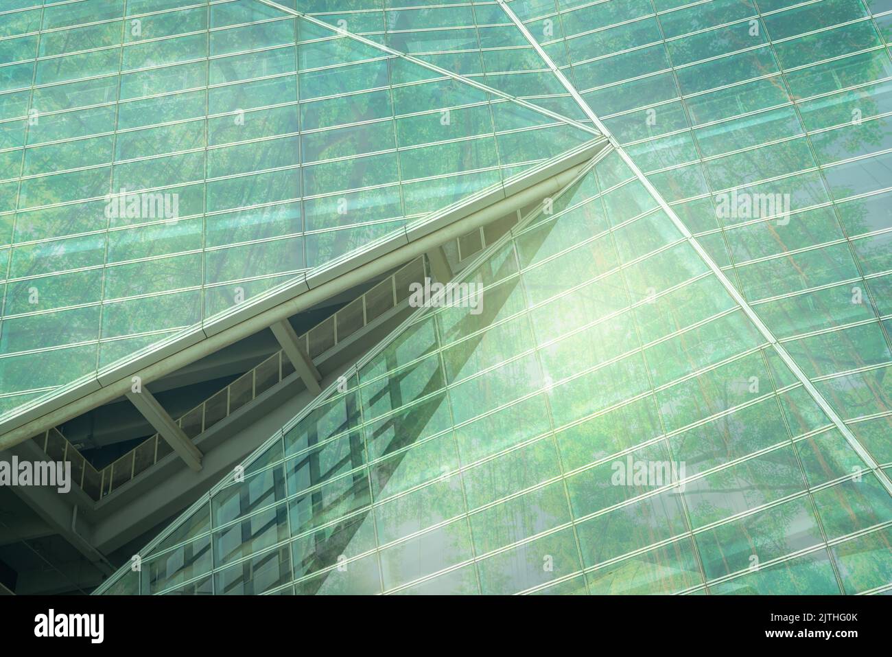 Nachhaltiges, umweltfreundliches Gebäude. Umweltfreundliches Gebäude. Nachhaltiges Bürogebäude aus Glas mit Baum zur Reduzierung von Kohlendioxid. Büro mit Grün Stockfoto