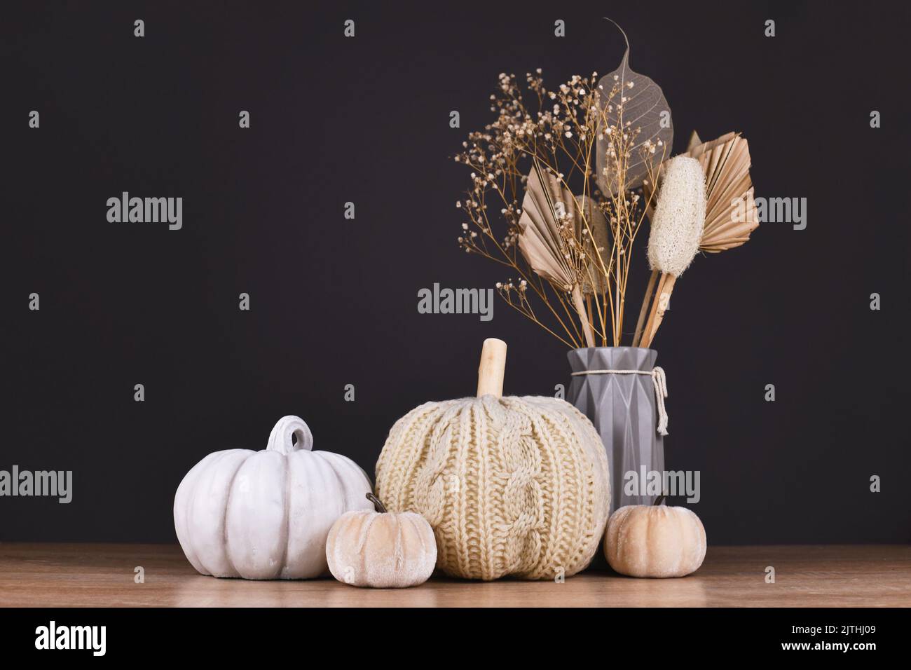 Herbstdeko mit gestricktem beigen Kürbis im Boho-Stil und grauem Steinkürbis auf dunklem Hintergrund Stockfoto