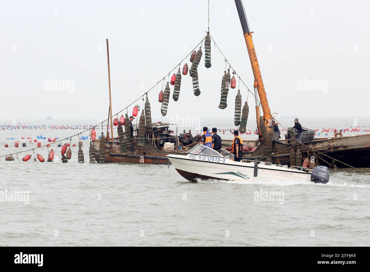 LIANYUNGANG, CHINA - 31. AUGUST 2022 - Fischereiverfolgungsschiffe patrouillieren in Lianyungang, der Provinz Jiangsu im Osten Chinas, Ein Gewässer der Austernzucht Stockfoto