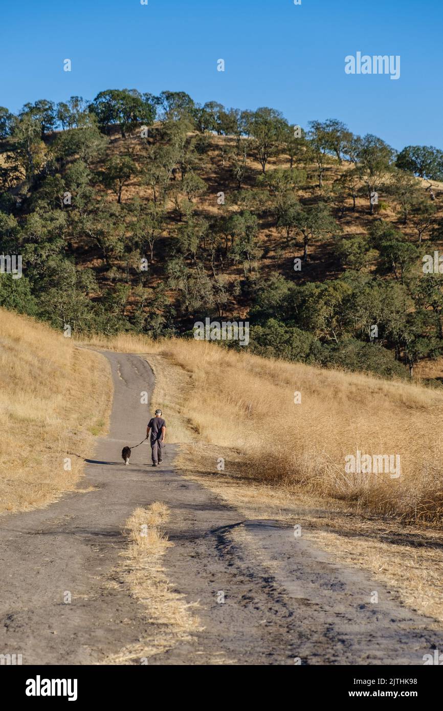 Ein Mann, der mit seinem Hund auf einem unbefestigten Pfad mit trockenen Feldern und Bäumen auf einem Hügel im Shell Ridge Nature Reserve, Walnut Creek, Kalifornien, unterwegs ist. Stockfoto