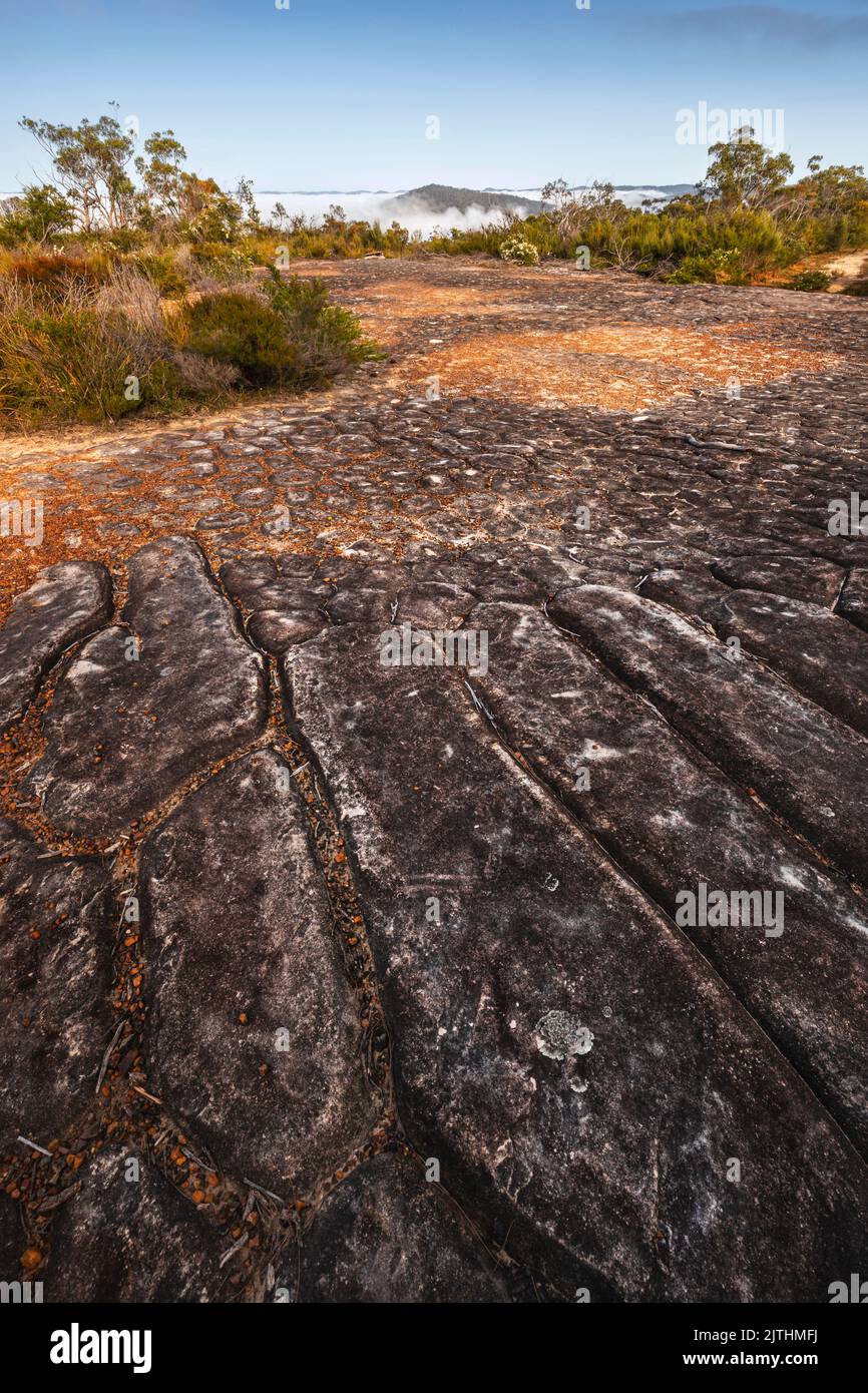 Felsen im Licht des brisbane Water National Park an der zentralen Küste von NSW Stockfoto