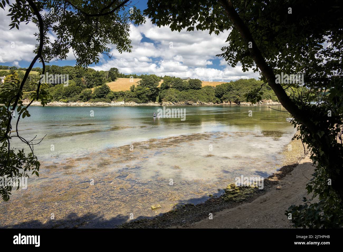 Spaziergänge in St Just Creek River in Roseland, Cornwall, Großbritannien Stockfoto