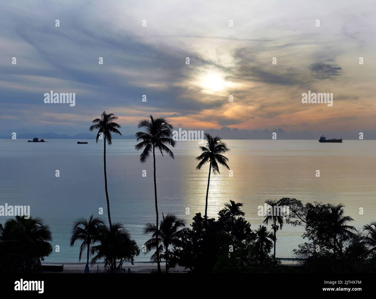 Tapete von friedlicher Sonnenaufgangs-Sonnenuntergangs-Meereslandschaft und Ozeanhimmel mit Kokosnuss-Silhouette im Vordergrund Stockfoto