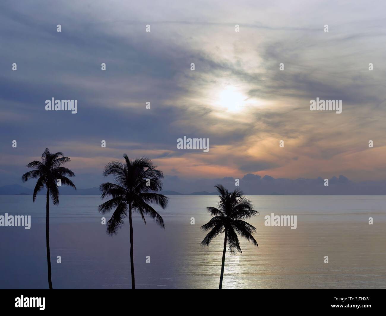 Tapete von friedlicher Sonnenaufgangs-Sonnenuntergangs-Meereslandschaft und Ozeanhimmel mit Kokosnuss-Silhouette im Vordergrund Stockfoto
