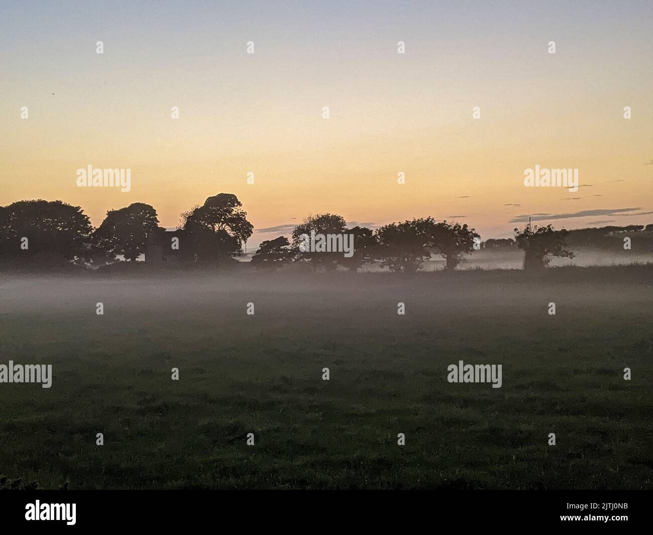 Nebel auf Feldern mit Bäumen während des Sonnenuntergangs in Nordirland, Großbritannien Stockfoto