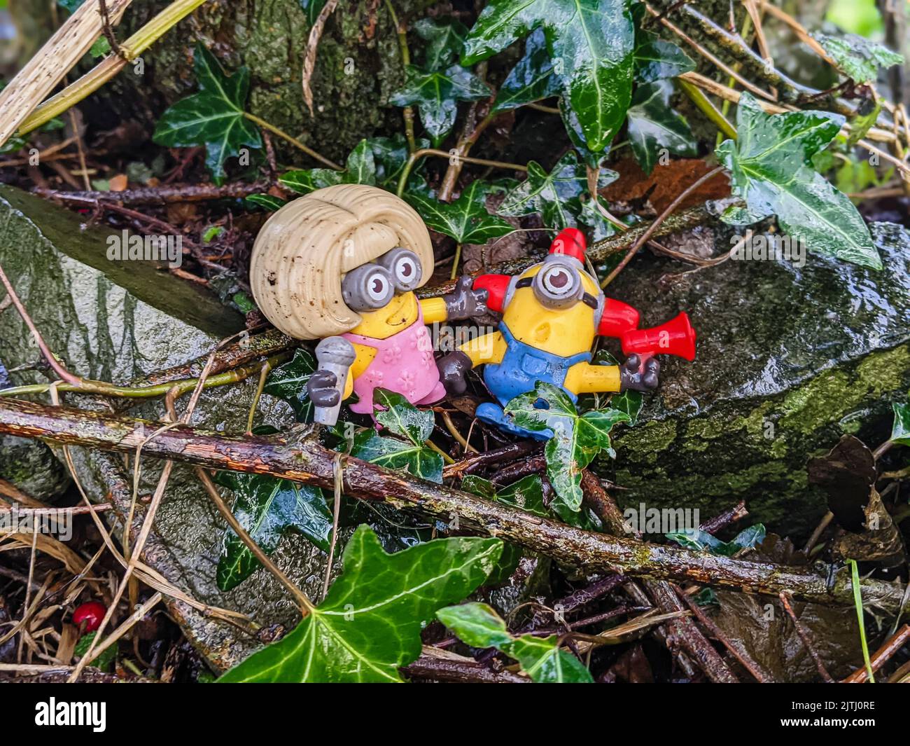 Geschenke von Minion-Figuren, die von Besuchern auf einem „Fairy Trail“ in Nordirland hinterlassen wurden. Stockfoto