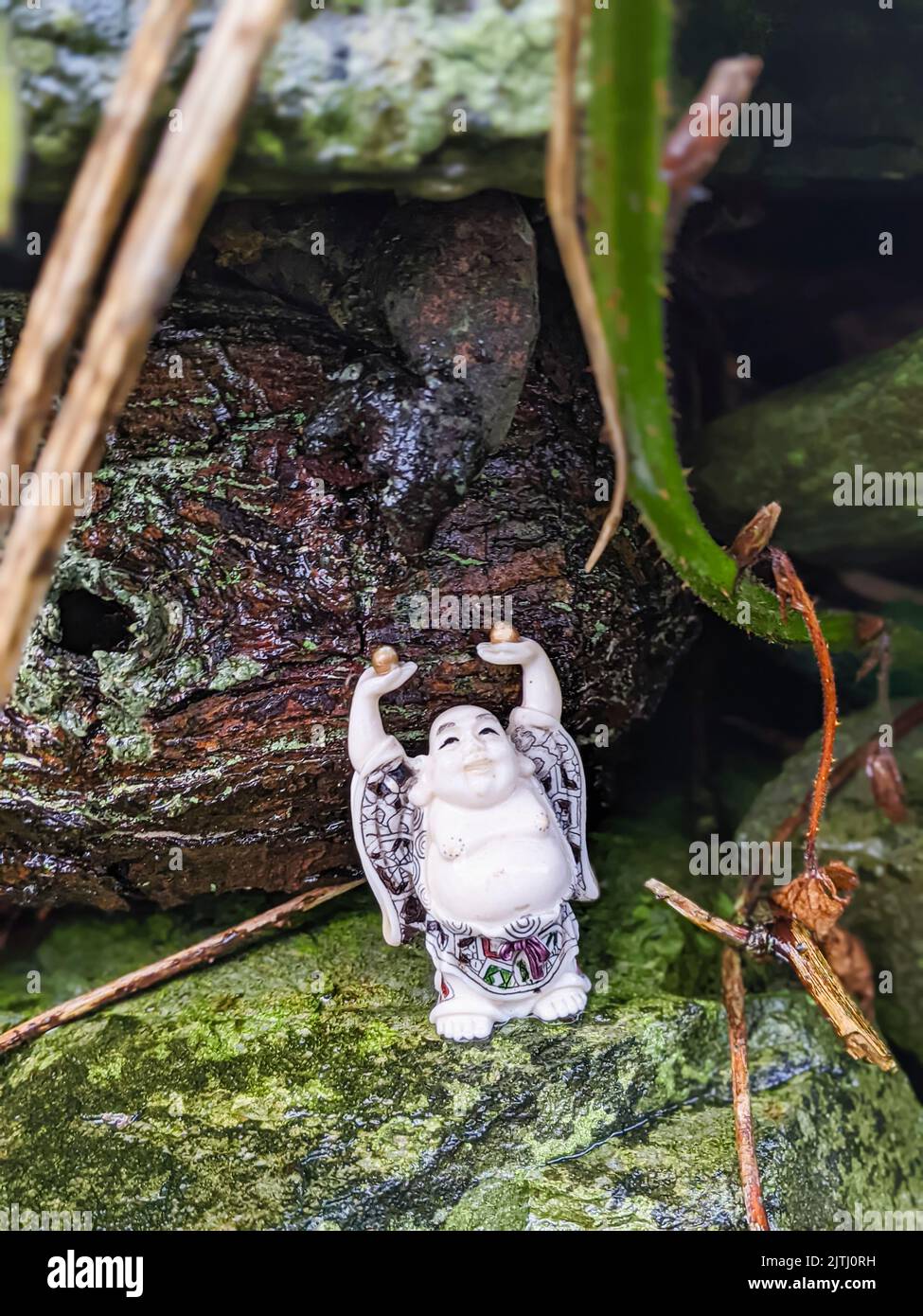 Geschenk eines Buddhas, der von Besuchern auf einem „Märchenpfad“ in Nordirland hinterlassen wurde. Stockfoto