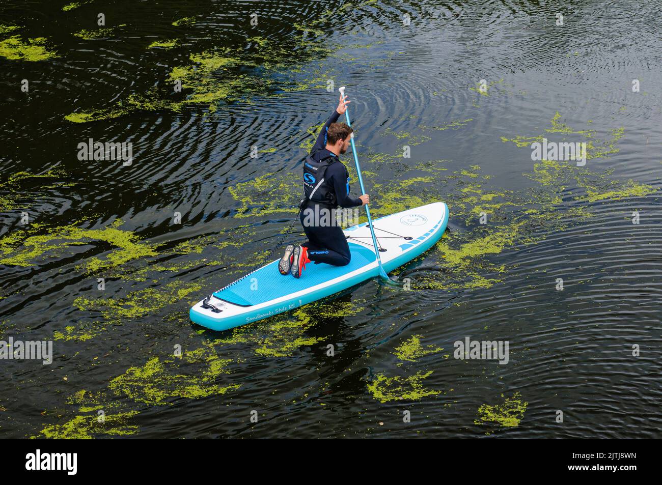 Paddelboarder auf einem Fluss. Stockfoto