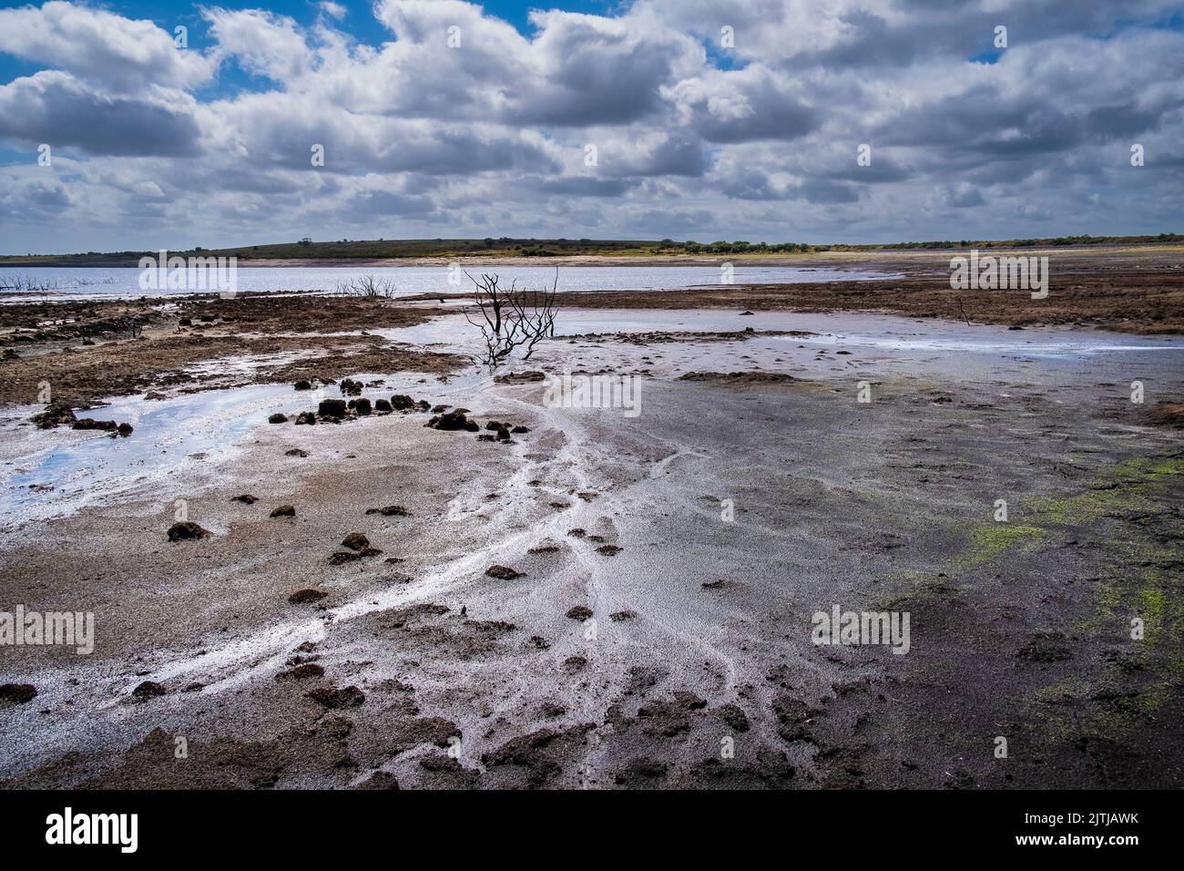 Das schlammige Seenbett wurde durch schwere Dürrebedingungen am Colliford Lake Reservoir auf Bodmin Moor in Cornwall in Großbritannien ausgesetzt. Stockfoto