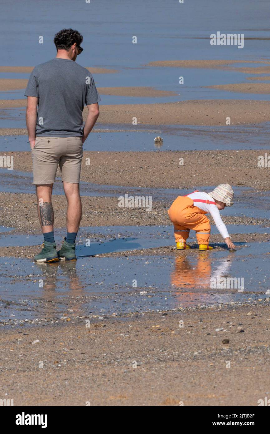 Ein Vater, der seine kleine Tochter bei Ebbe am Fistral Beach in Newquay in Cornwall in Großbritannien beim Erkunden beobachtet. Stockfoto