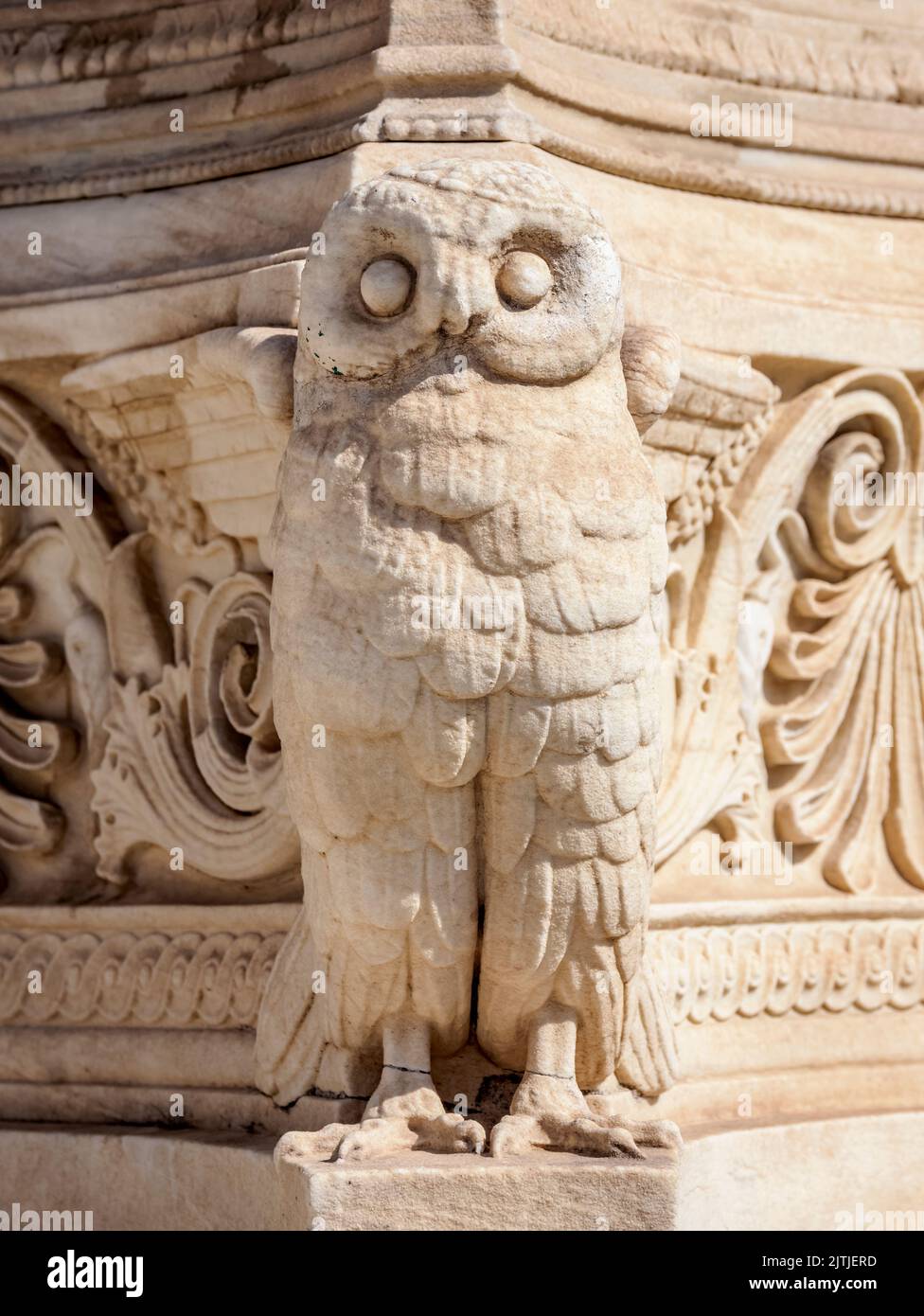 Eule an der Akademie von Athen, Detailansicht, Athen, Attika, Griechenland Stockfoto