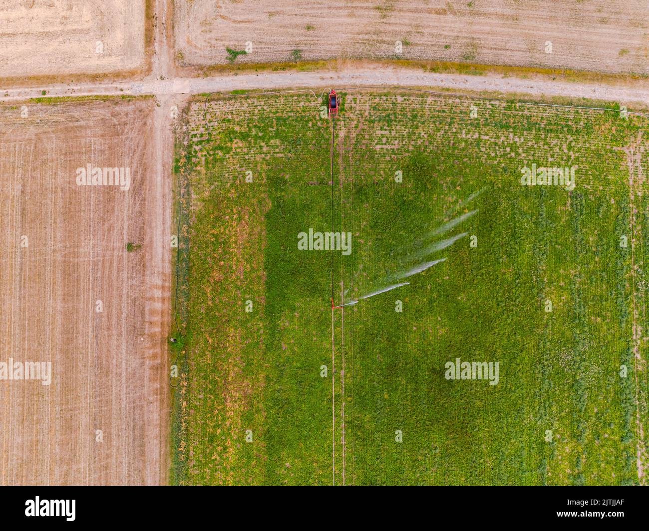 Luftaufnahme der Bewässerung mit Sprinkler auf trockenem Feld, Deutschland Stockfoto