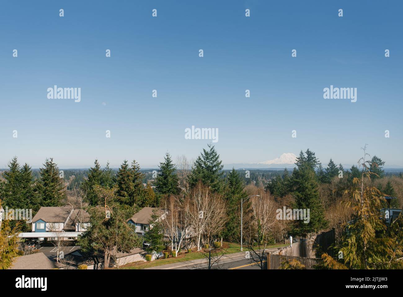 Wunderschöne Landschaft mit Blick auf den Vulkan Rainier von Olympia Stockfoto