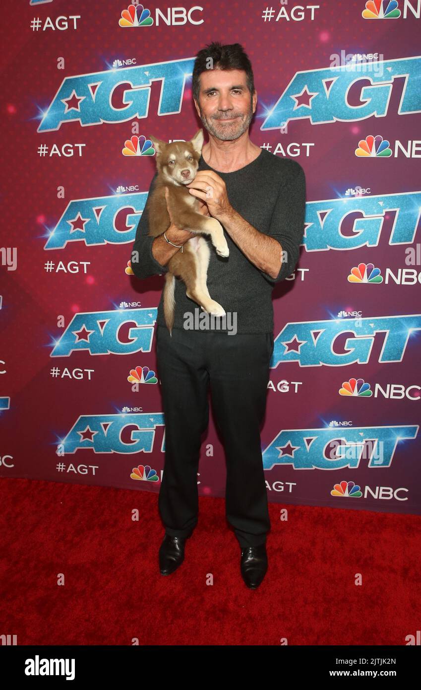 Pasadena, Ca. 30. August 2022. Simon Cowell mit Odin bei der America's Got Talent Season 17 Live Show Red Carpet am 30. August 2022 im Sheraton Pasadena Hotel in Pasadena, Kalifornien. Quelle: Saye Sadou/Media Punch/Alamy Live News Stockfoto