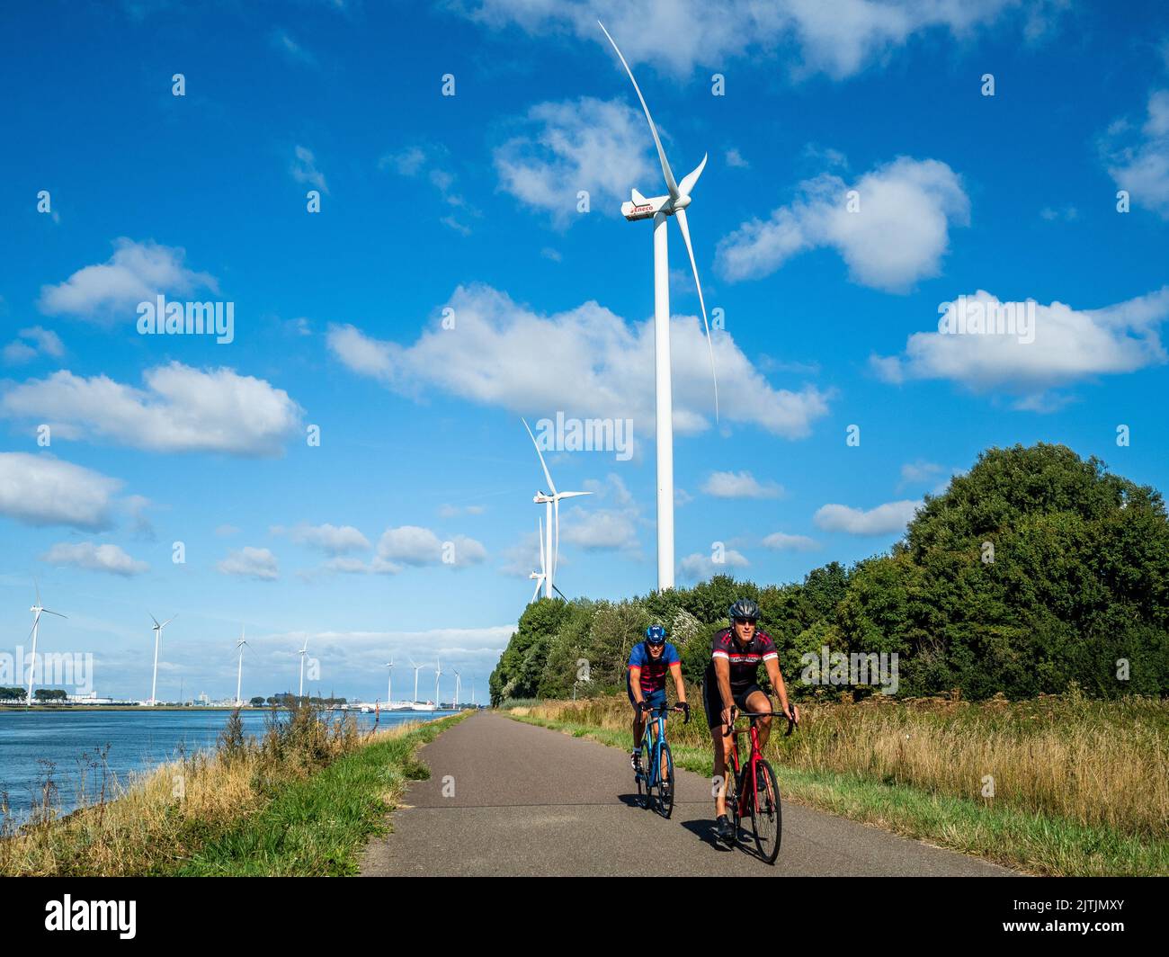 28. August 2022, Hoek Van Holland, Niederlande: Männer werden beim ...