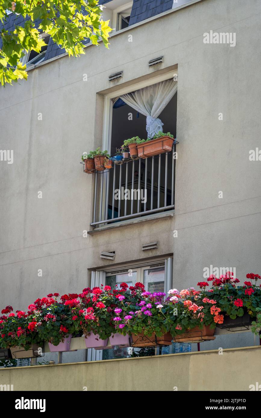 Wohnblock mit bunten Geranienblumen, 11. Arrondissement, Paris, Frankreich Stockfoto