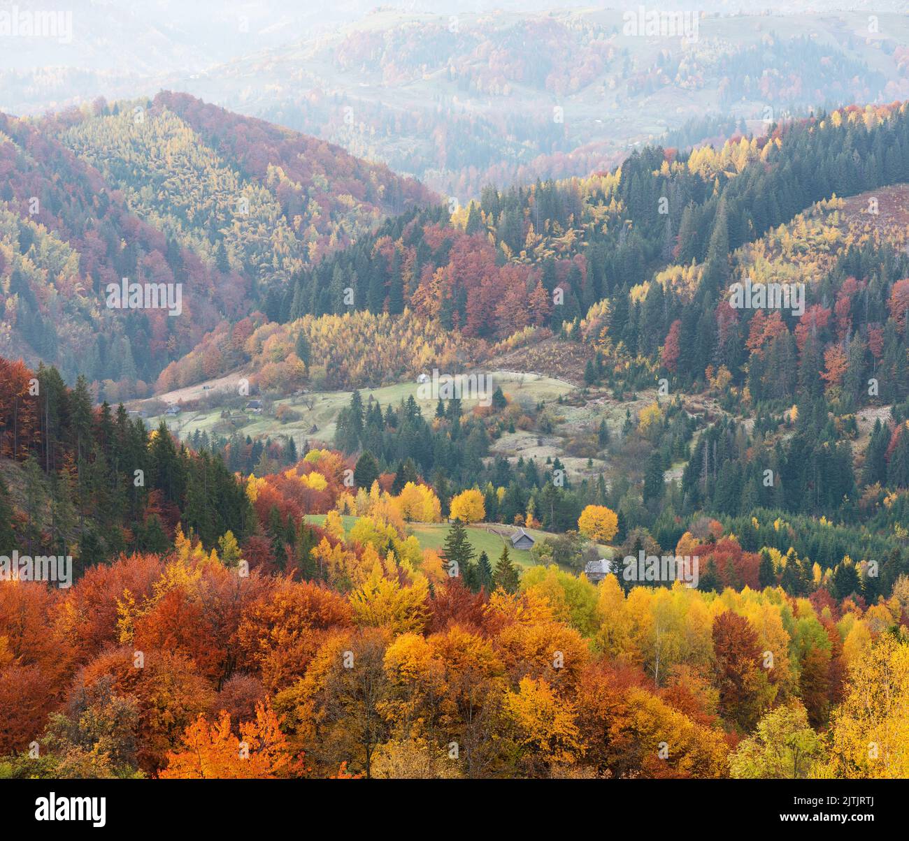 Farbenfrohe Herbstansicht des Herbstwaldes mit schönen, hellen Bäumen in einem Bergdorf Stockfoto