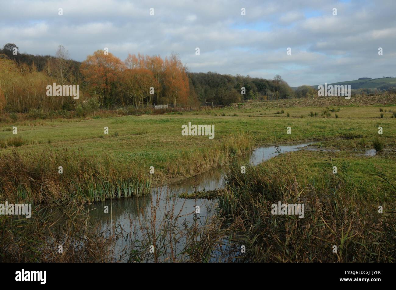 HERBST, WILDVÖGEL UND FEUCHTGEBIETE VERTRAUEN, ARUNDEL WEST SUSSEX. PIC MIKE WALKER 2012 Stockfoto