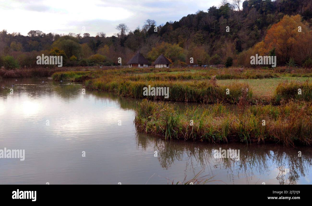 HERBST, WILDVÖGEL UND FEUCHTGEBIETE VERTRAUEN, ARUNDEL WEST SUSSEX. PIC MIKE WALKER 2012 Stockfoto