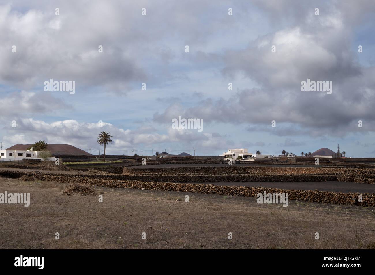 Kleine Felder mit einem schwarzen trockenen Boden, von Steinen geteilt. Weiße Häuser in einem einheitlichen lokalen Stil. Mehrere Palmen. Hügel im Hintergrund. Wolkiger Himmel. Stockfoto