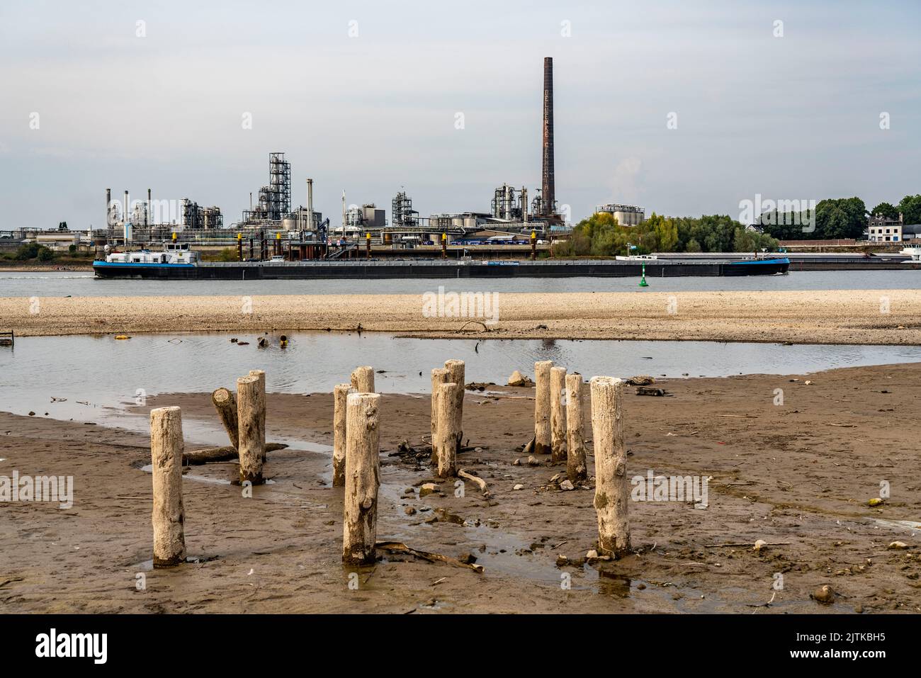 Rhein bei Emmerich, extrem niedriges Wasser, Rheinspiegel bei 0 cm, Tendenz fallend, Hintergrund der Chemieanlage KLK Emmerich, für oleochemisches Produkt Stockfoto