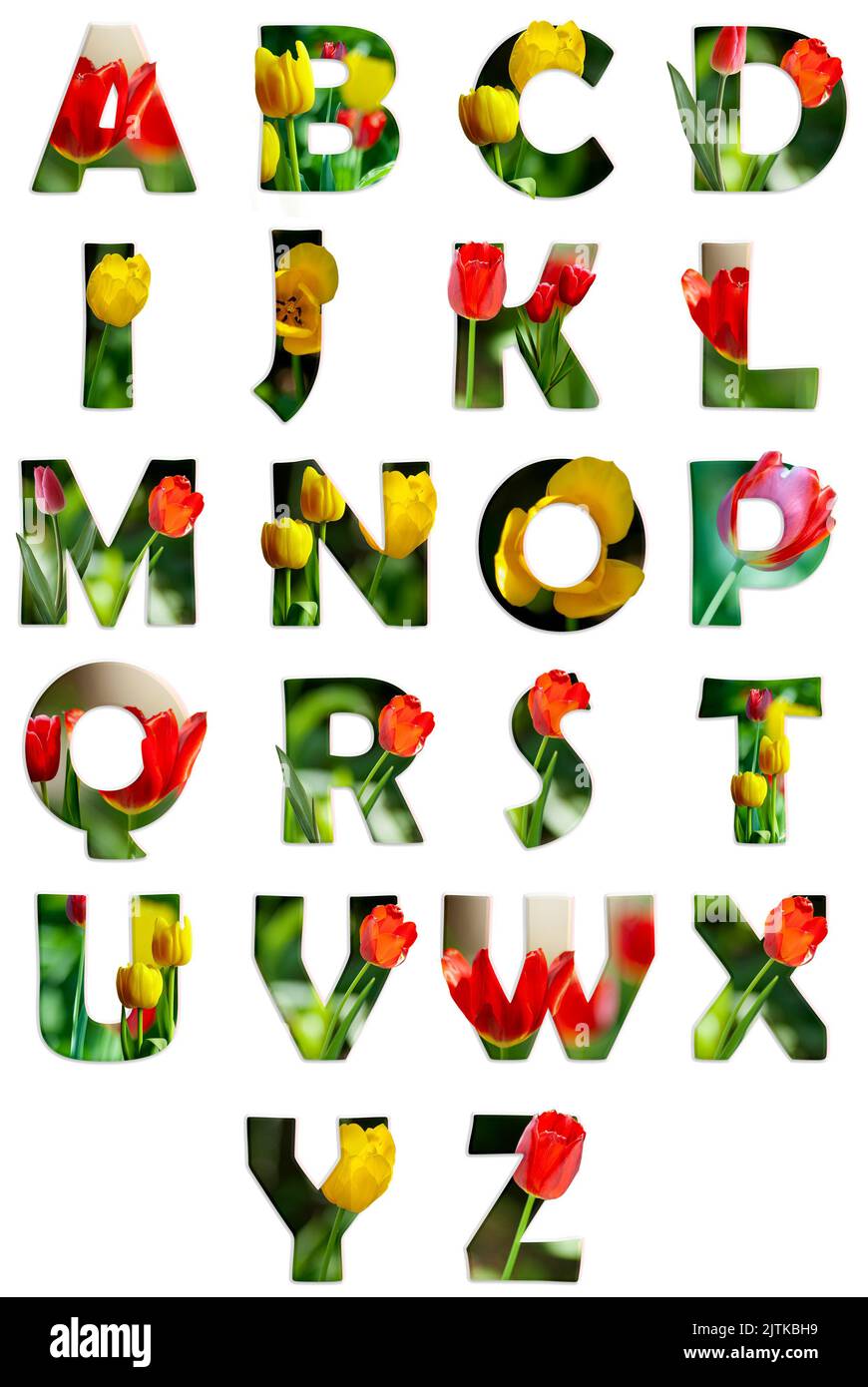 Blumenbuchstaben. Das Aplhabet aus echten lebendigen bunten Frühlingsblumen-Fotos. Eine Sammlung von wunderbaren Pflanzenbuchstaben für einzigartige Frühlingsdekorationen Stockfoto