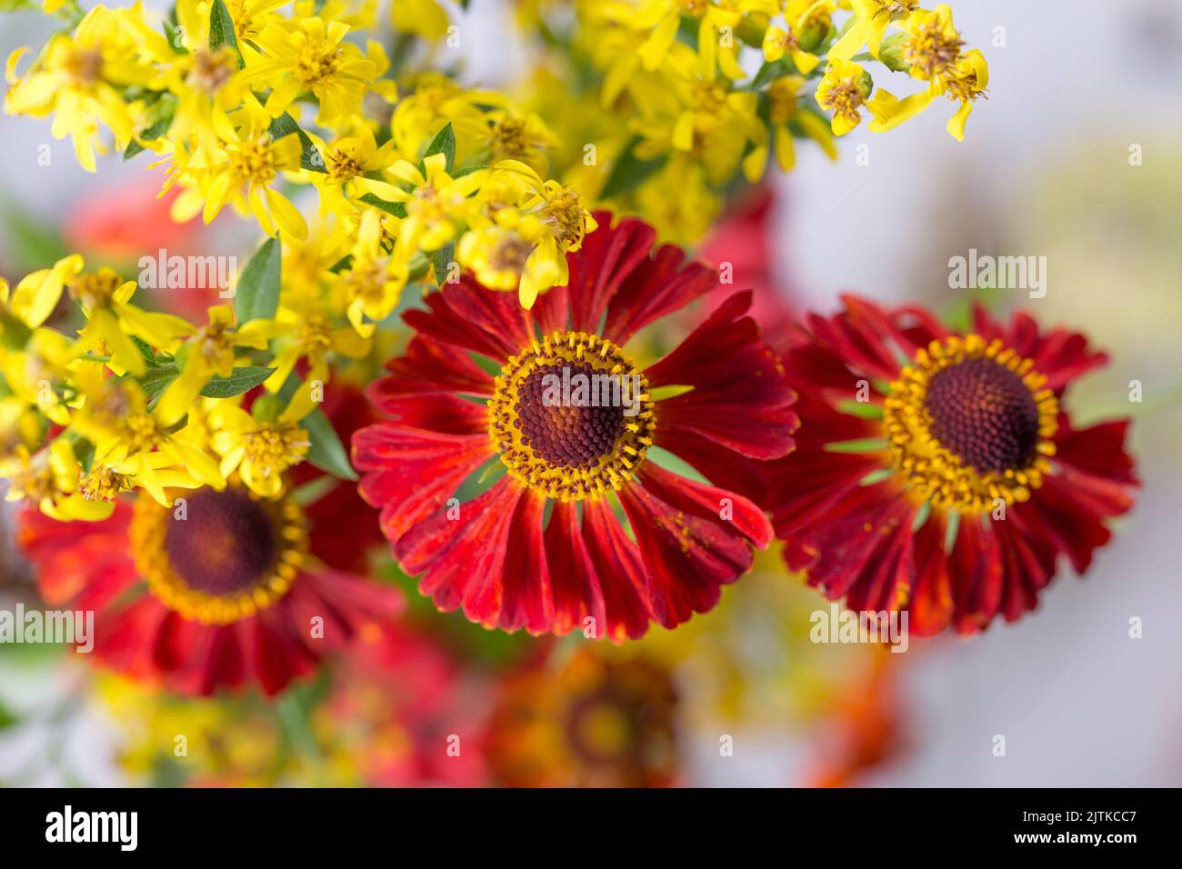 Nahaufnahme eines Herbststraußes mit kleinen gelben Blüten und roten helenium-Blüten Stockfoto