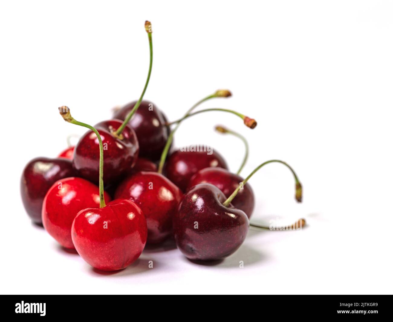 Süßkirschen, Prunus avium, vor weißem Hintergrund Stockfoto