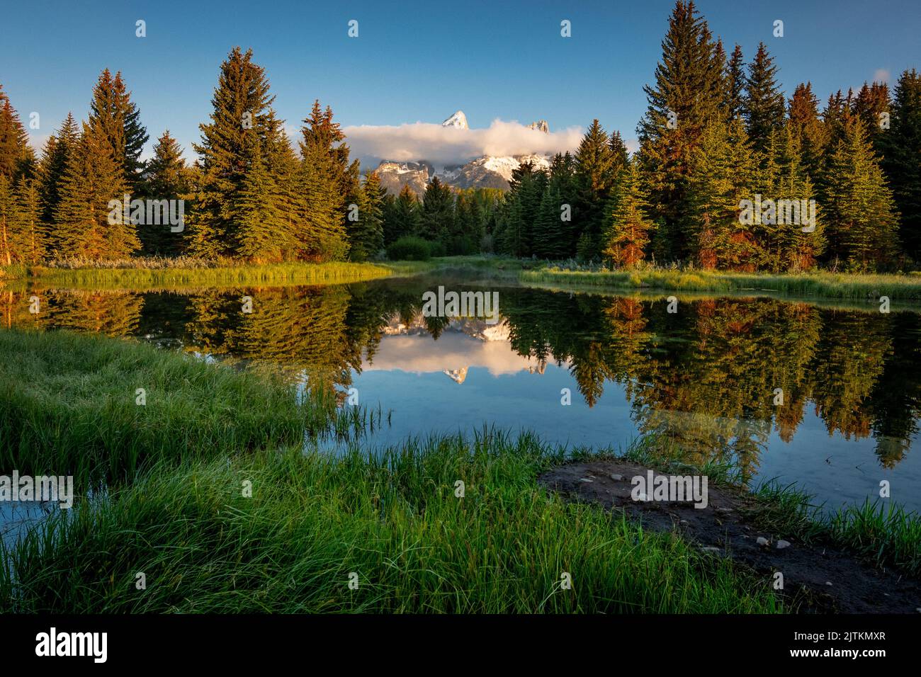 Eine Landschaftsansicht der Schwabacher Landing mit Waldbäumen auf dem Gewässer reflektiert Stockfoto