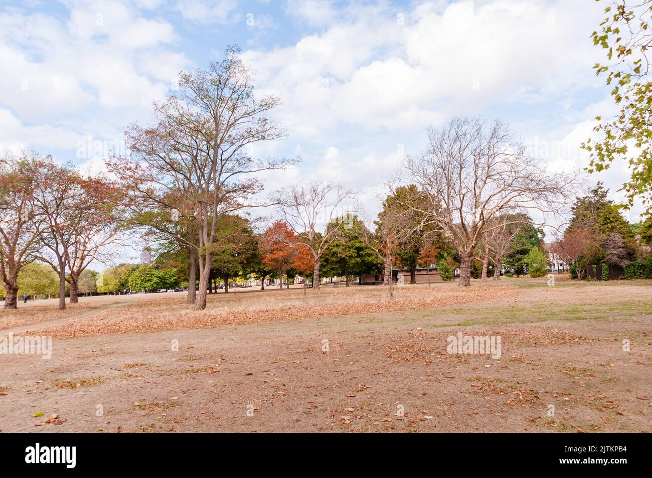 West Ham Park , London, Gras sieht aufgrund der aktuellen Hitzewelle im Sommer wie Stroh aus Stockfoto