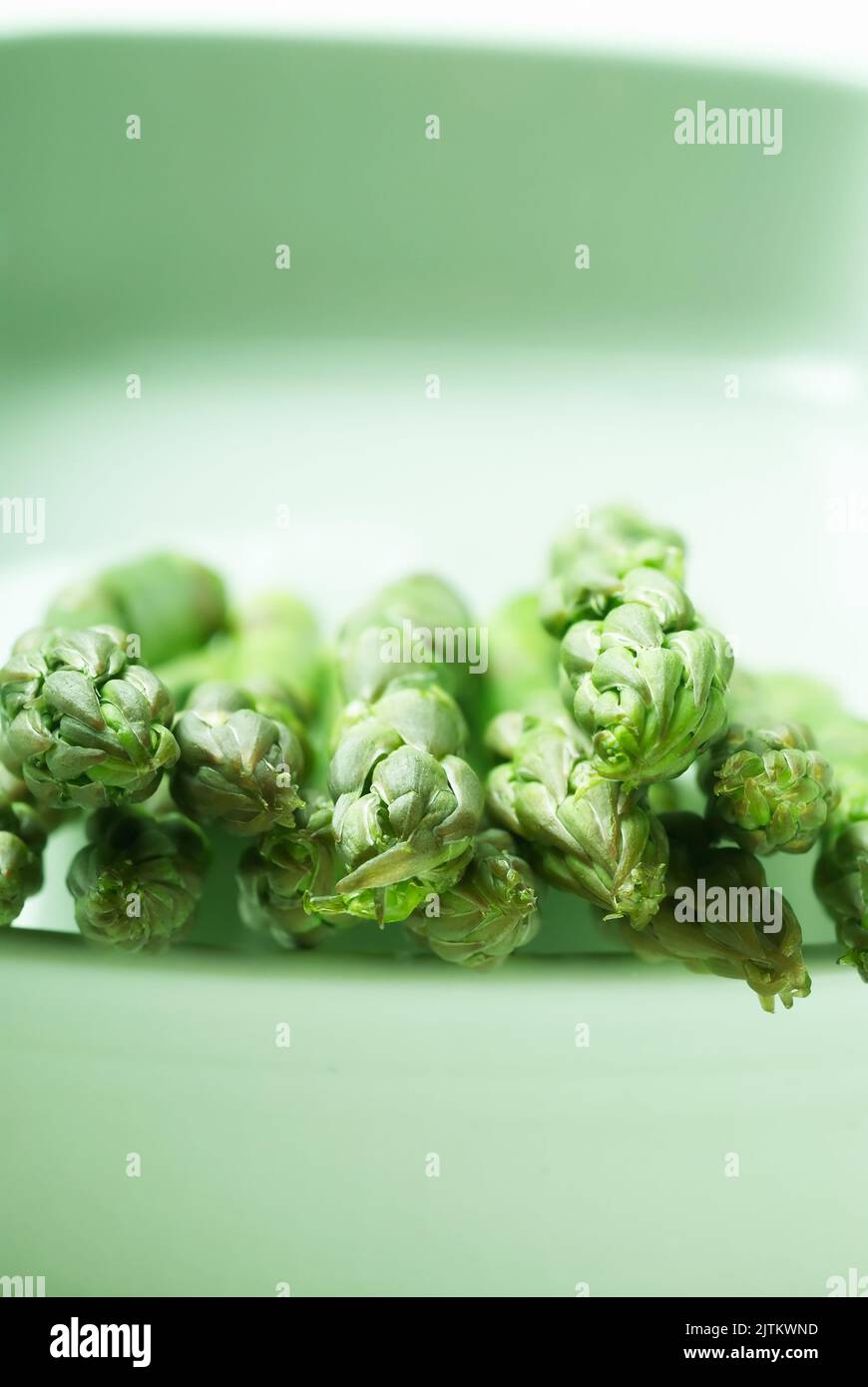 Eine Reihe Spargelstangen in einer Schüssel Spargel officinalis Stockfoto