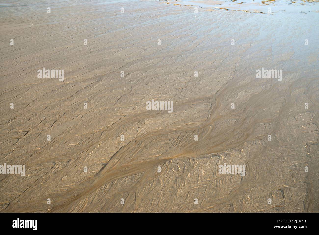 Nahaufnahme eines Strands bei Ebbe. Wird spät am Tag eingenommen, da die Sonne untergeht. Stockfoto