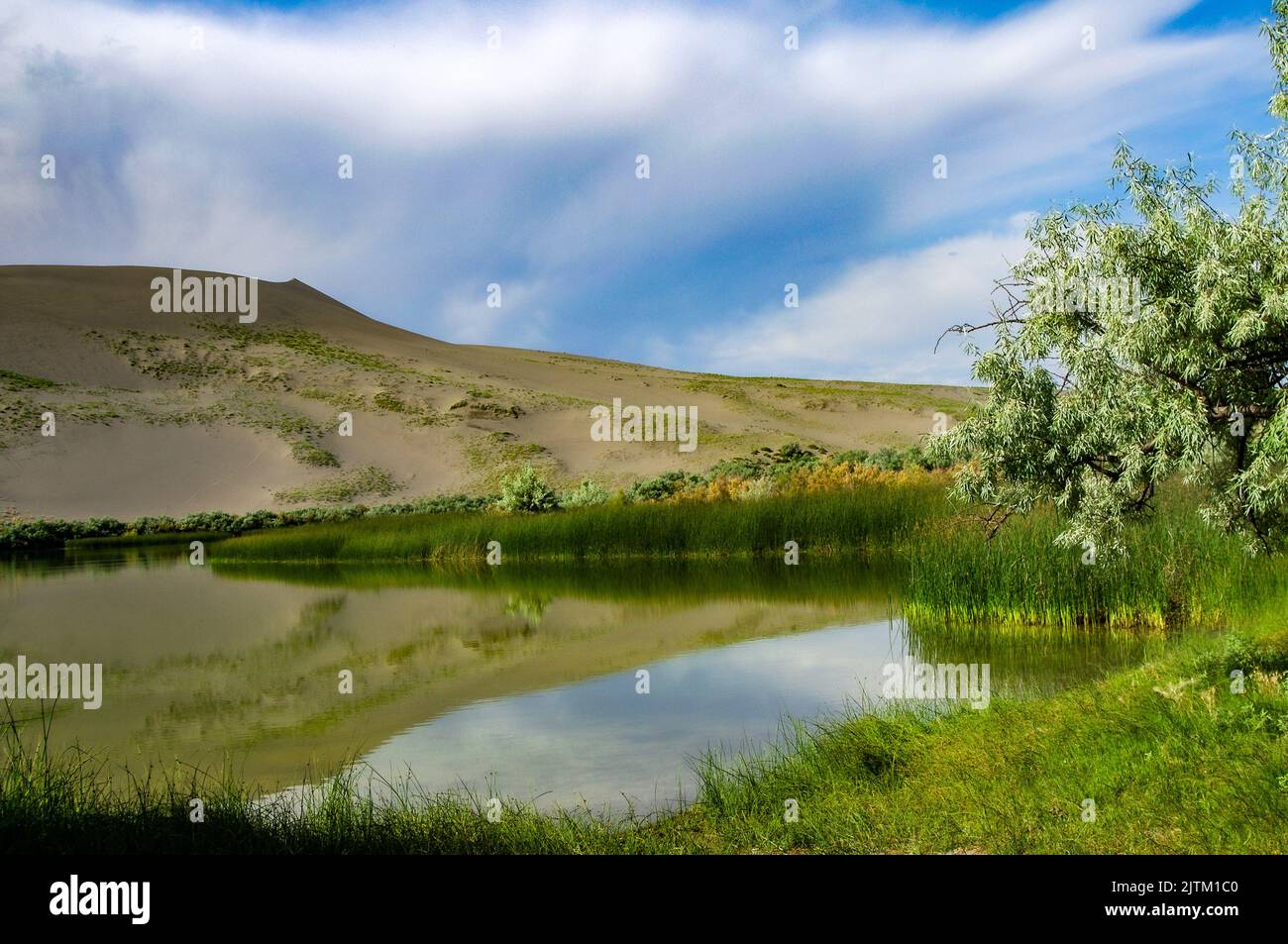 Bruneau Dunes State Park in Idaho Stockfoto