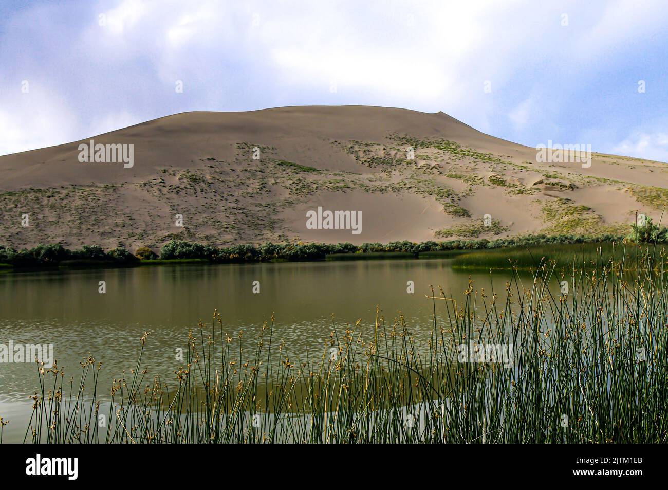 Bruneau Dunes State Park in Idaho Stockfoto