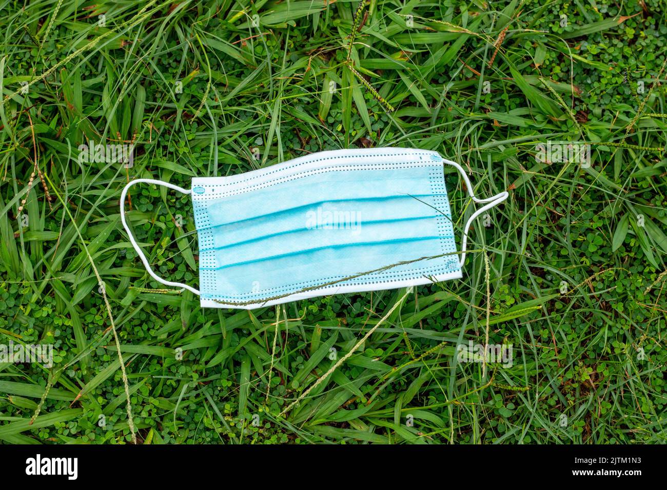 Blaue Einweg-Schutzmaske, zum Schutz vor Cornavirus, auf grünes Gras in Rio de Janeiro geworfen. Stockfoto